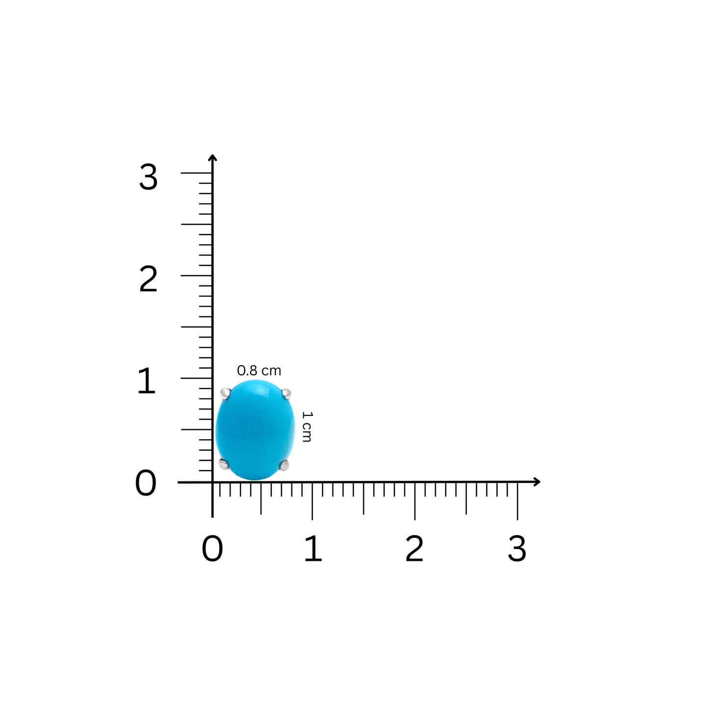 Turquoise Elegance Earrings