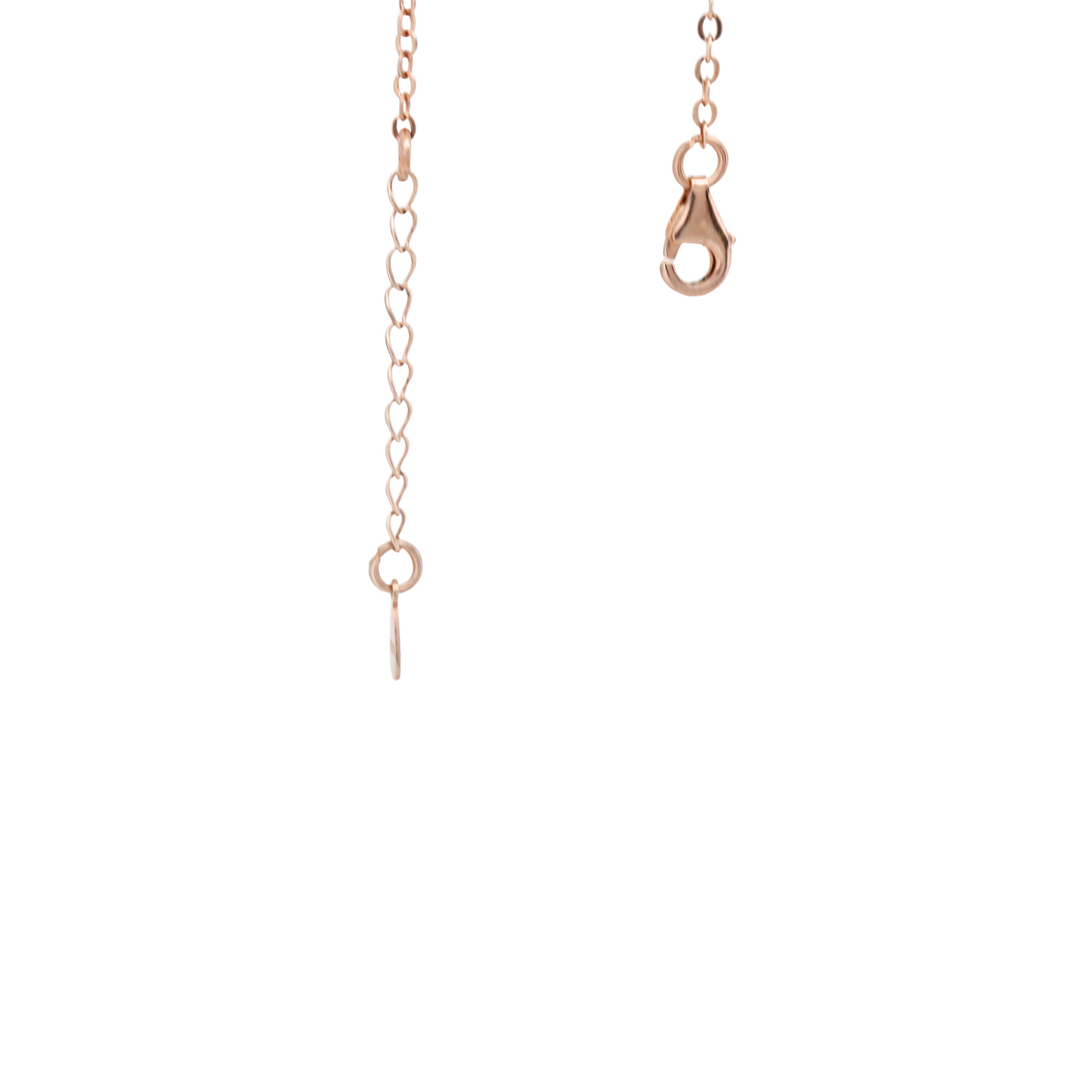 Rosé Petal Charm Bracelet