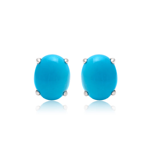 Turquoise Elegance Earrings